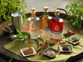 Load image into Gallery viewer, Wilderton Non Alcoholic Spirits - Fancy That
