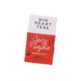 Load image into Gallery viewer, Spicy Pumpkin Tea - Fancy That
