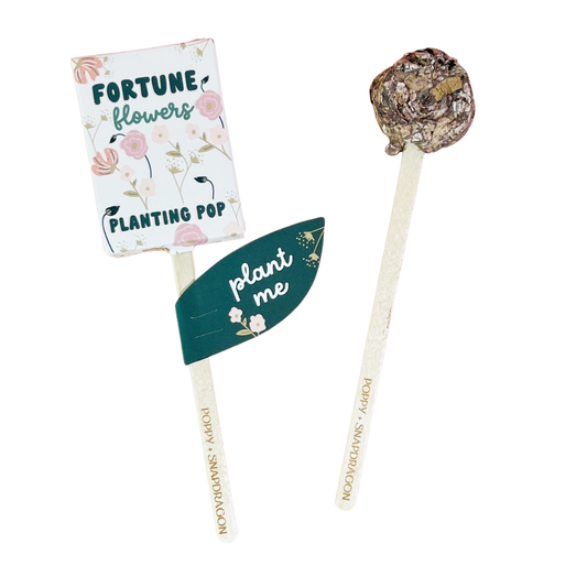 Flower Seed Planting Pop - Fancy That