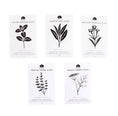 Load image into Gallery viewer, Culinary Herb Seeds - Set of 5 - Fancy That
